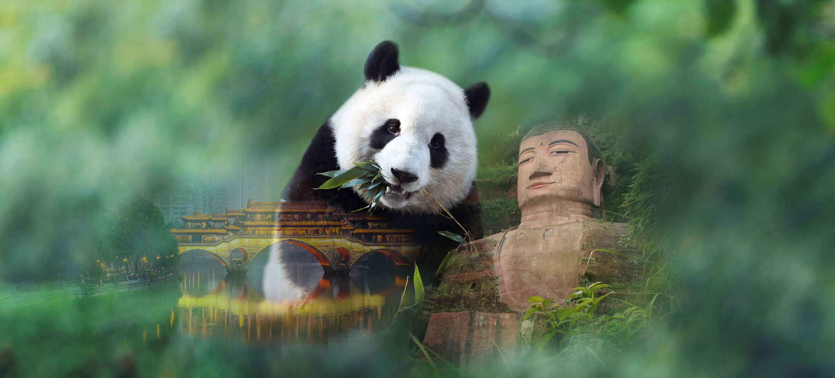Air China Limited Flight Tickets Inquiry & Booking, Flights Inquiry, Latest Special Offers